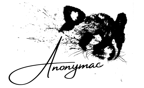 artiste peintre contemporain anonymac logo