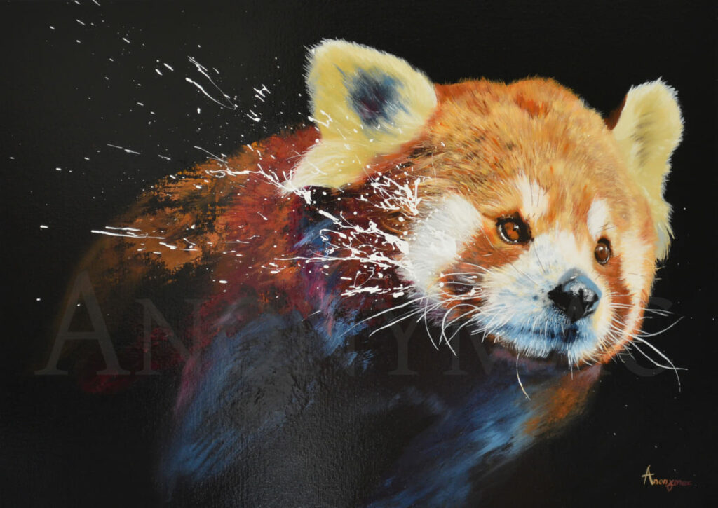 Peinture-animaux-panda roux