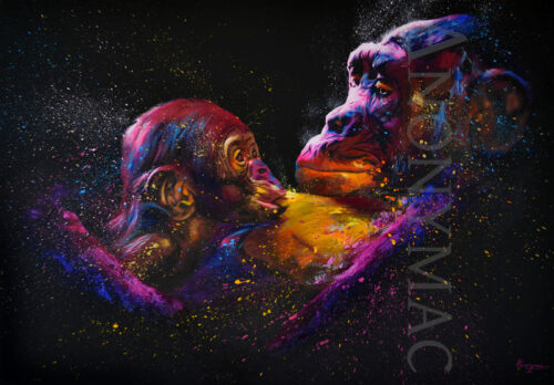 tableau-singe-chimpanze-serenity