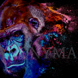 Tableau gorille La Jokong