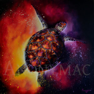 Tableau tortue Tyla