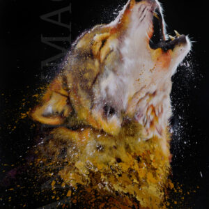 loup réaliste en peinture animalière à l'acrylique