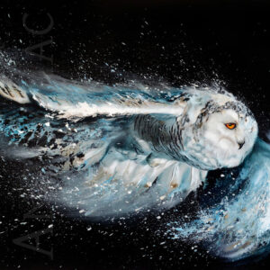 Tableau Harfang des neiges Phantom